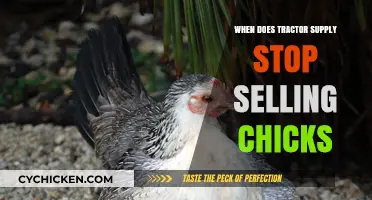 Tractor Supply's Chick Sales: When Does the Season End?