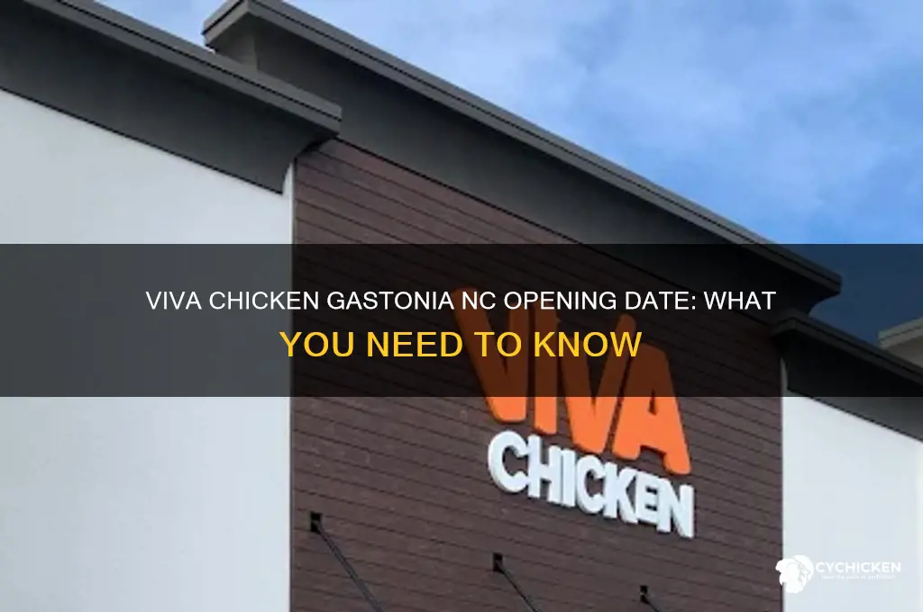 when does viva chicken open in gastonia nc