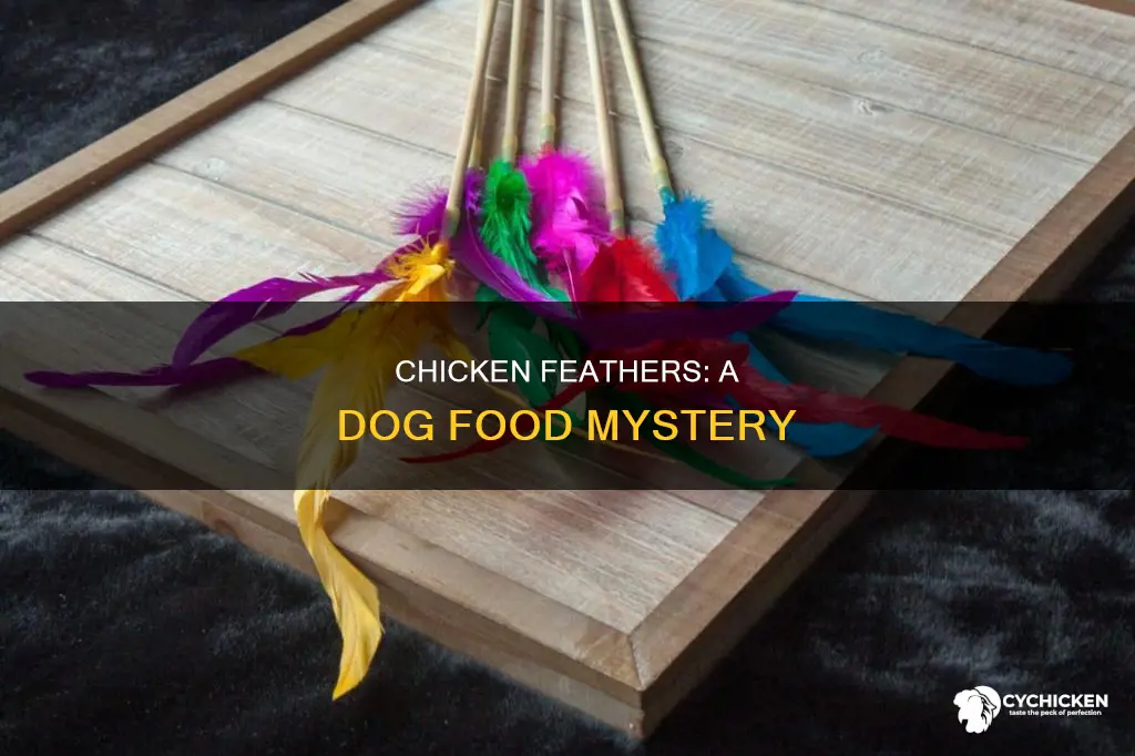 when feathers were chicken by-products in dog food