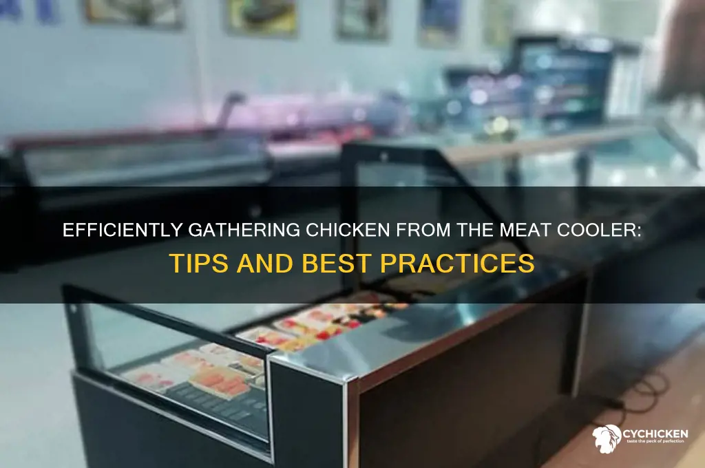 when gathering chicken from the meat cooler