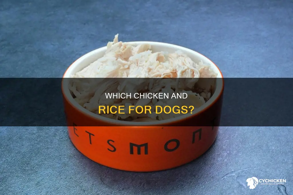 when giving dogs chicken and rice white or brown