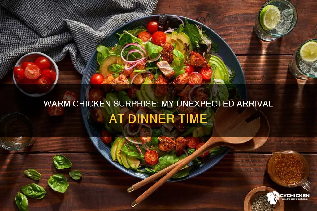 when i arrived the chicken was still warm