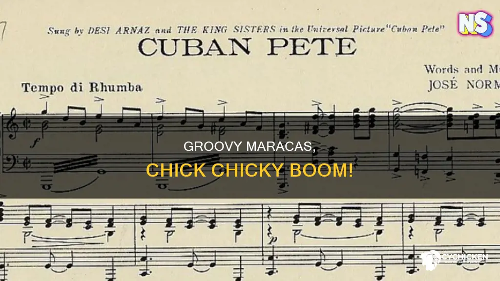 when i play the maracas i go chick chicky boom