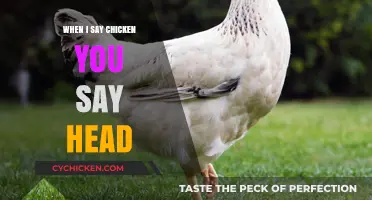 When I Say Chicken, You Say Head: Unraveling the Quirky Call-and-Response