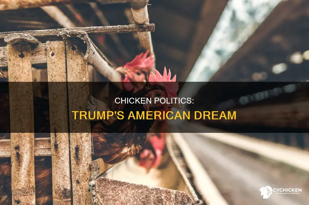 when i was president all chicken was american trump
