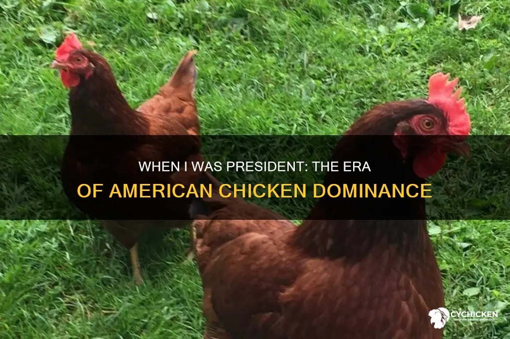 when i was president all chicken was american