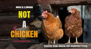 When Chickens Aren't Chickens: Unraveling Poultry's Surprising Identity Crisis