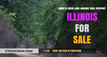 Exploring the Sale of Chick Jane Addams Trail in Freeport, Illinois