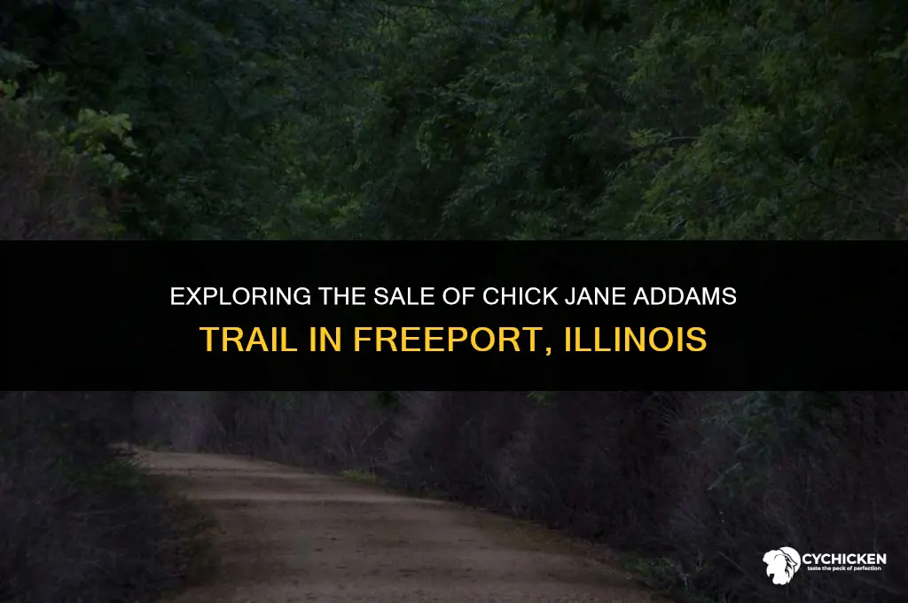 when is chick jane addams trail freeport illinois for sale