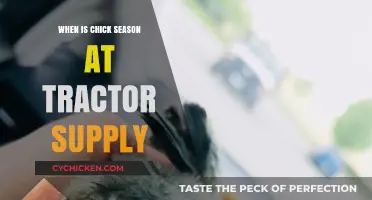 When Does Chick Season Start at Tractor Supply?