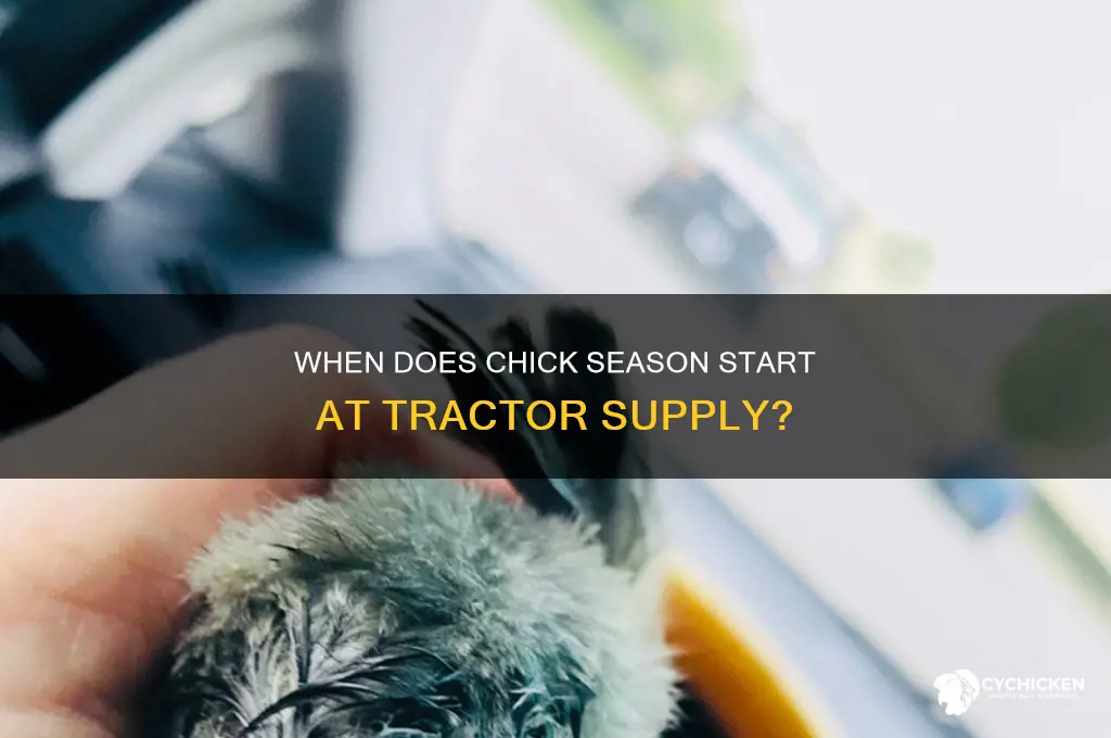 when is chick season at tractor supply