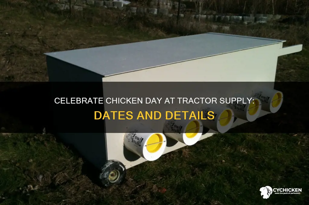 when is chicken day at tractor supply