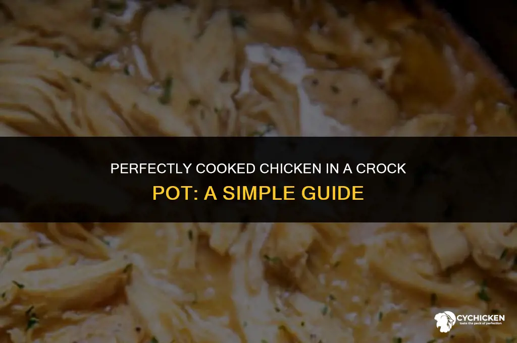 when is chicken done in a crock pot