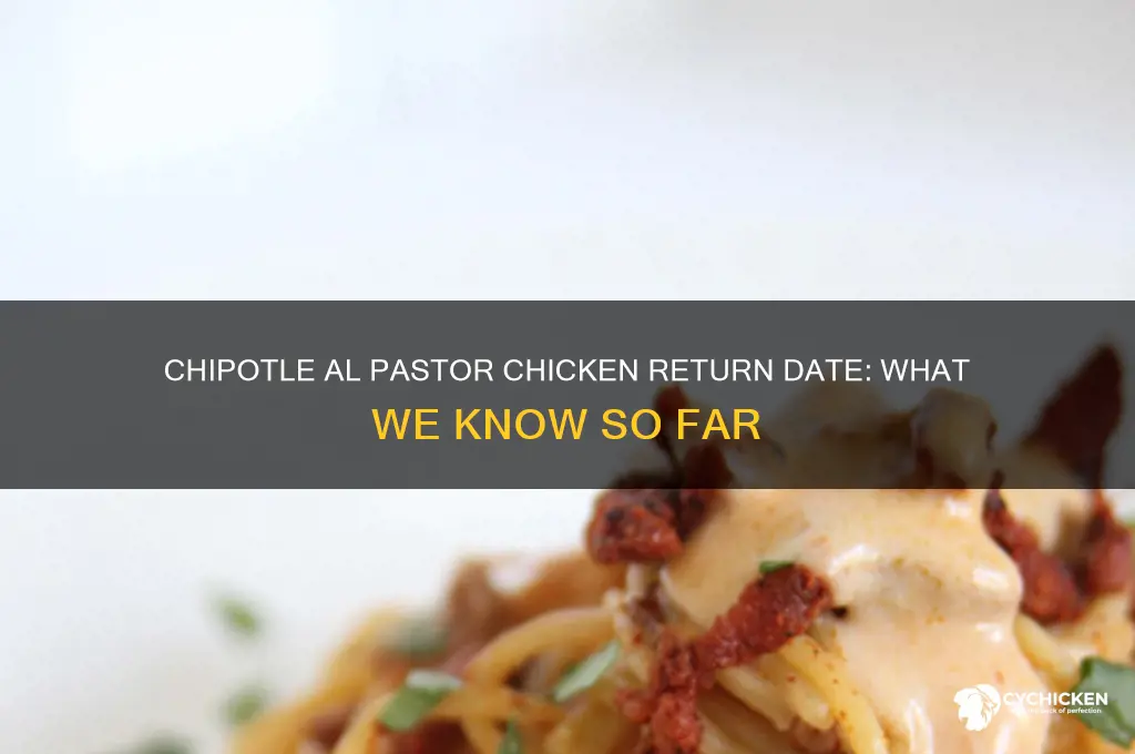 when is chipotle al pastor chicken coming back