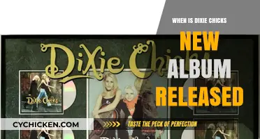 Dixie Chicks' New Album Release Date: What We Know So Far