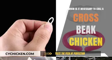 Culling Cross Beak Chickens: When and Why?