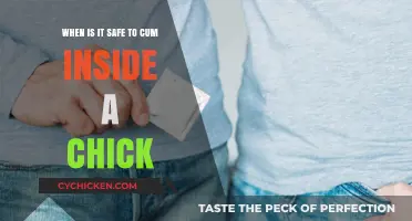 Safe to Cum Inside: What You Need to Know