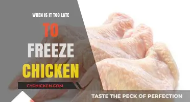 Is It Too Late to Freeze Chicken? A Guide to Safe Storage