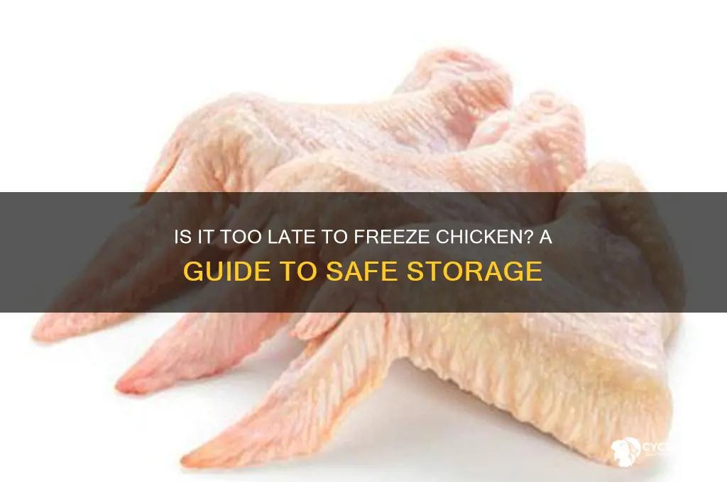 when is it too late to freeze chicken
