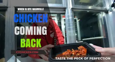 KFC Nashville Hot Chicken Return: When Will It Be Back?