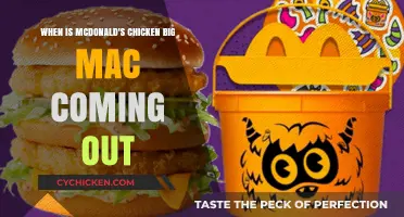 McDonald's Chicken Big Mac: Release Date Revealed