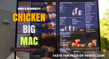 McDonald's Chicken Big Mac Launch Date: What You Need to Know