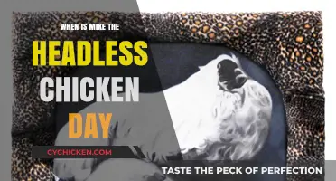 Celebrating Mike the Headless Chicken Day: A Quirky Annual Tribute