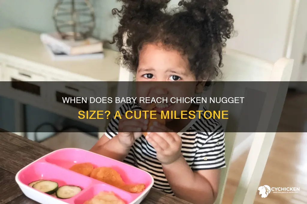 when is my baby the size of a chicken nugget