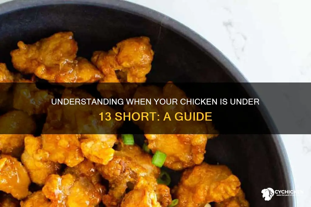 when is my chicken under 13 short