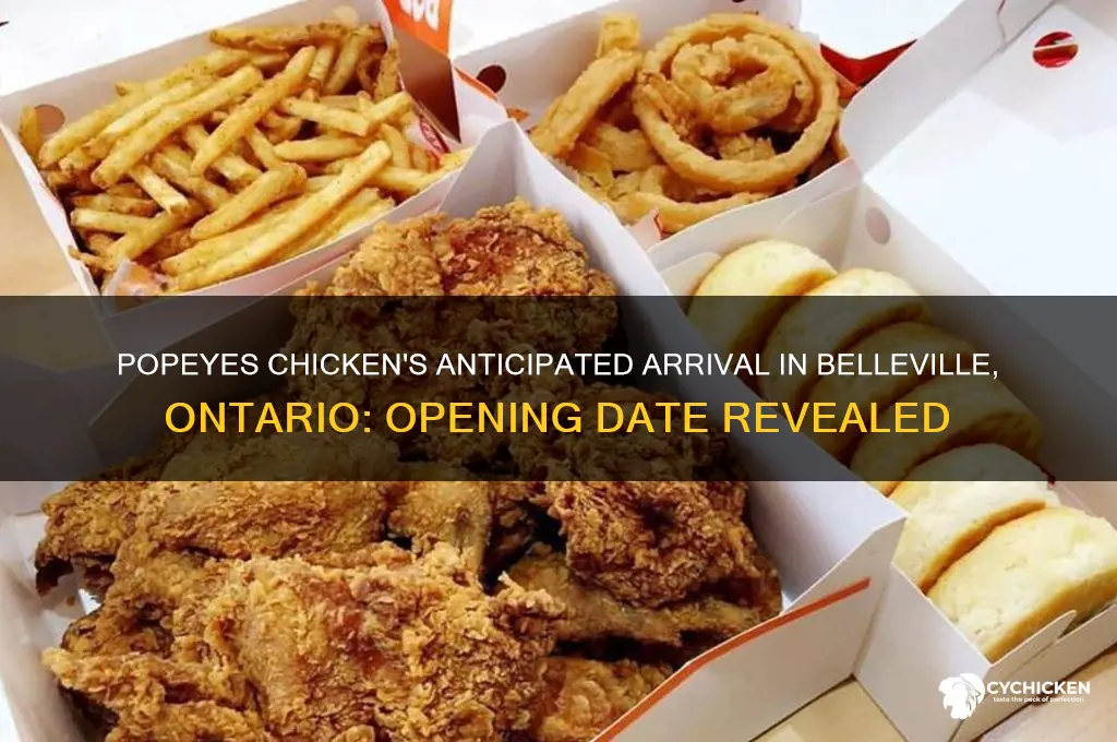 when is popeyes chicken opening in belleville ontario