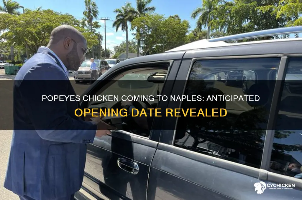 when is popeyes chicken opening in naples