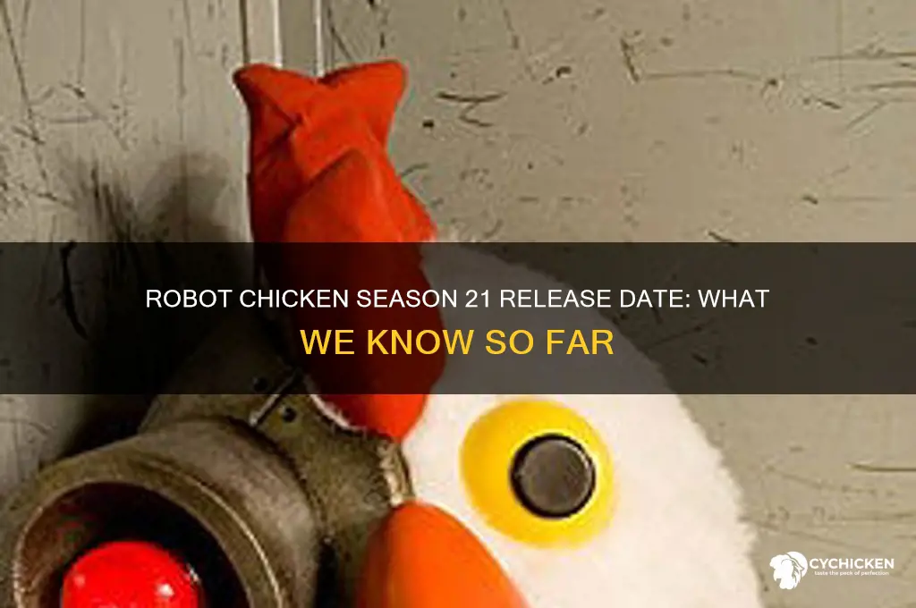when is season 21 of robot chicken