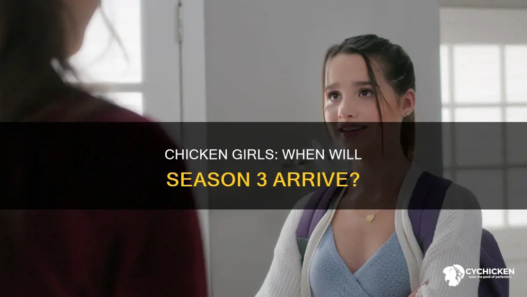 when is season 3 of chicken girls comibg out