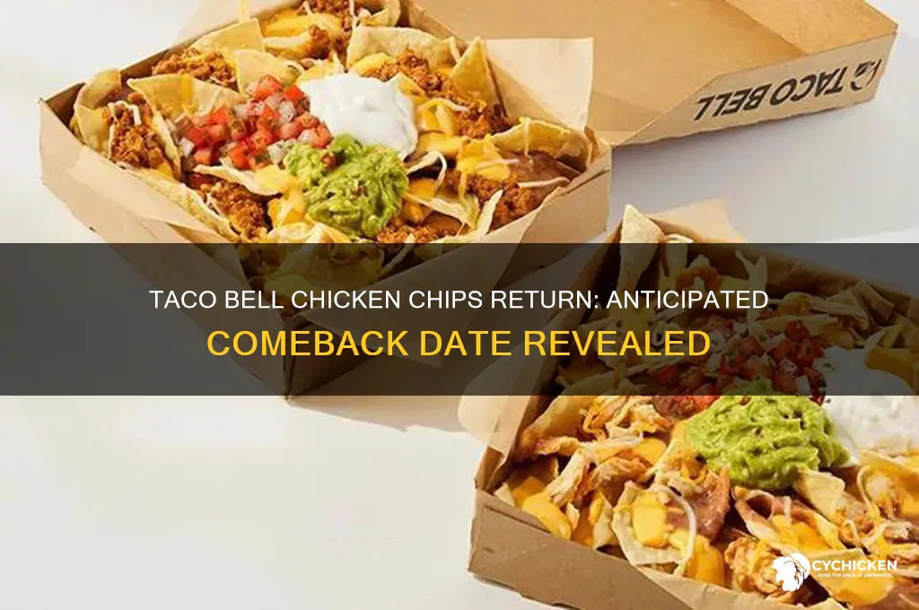 when is taco bell bringing back chicken chips