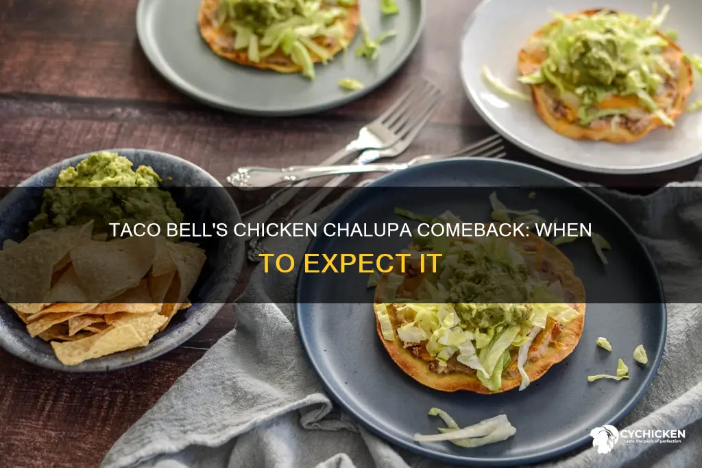 when is taco bell bringing back the chicken chalupa