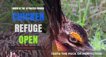 Attwater Prairie Chicken Refuge Hours: When Can You Visit?