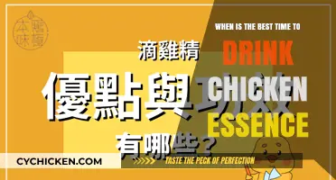 Drink Chicken Essence: Morning or Night?