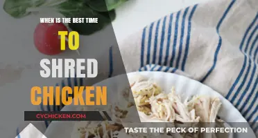 Perfectly Shredded Chicken: Timing Tips for Tender, Juicy Results