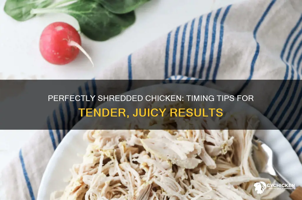 when is the best time to shred chicken