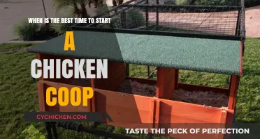 Spring into Action: The Ideal Time to Begin Your Chicken Coop Journey