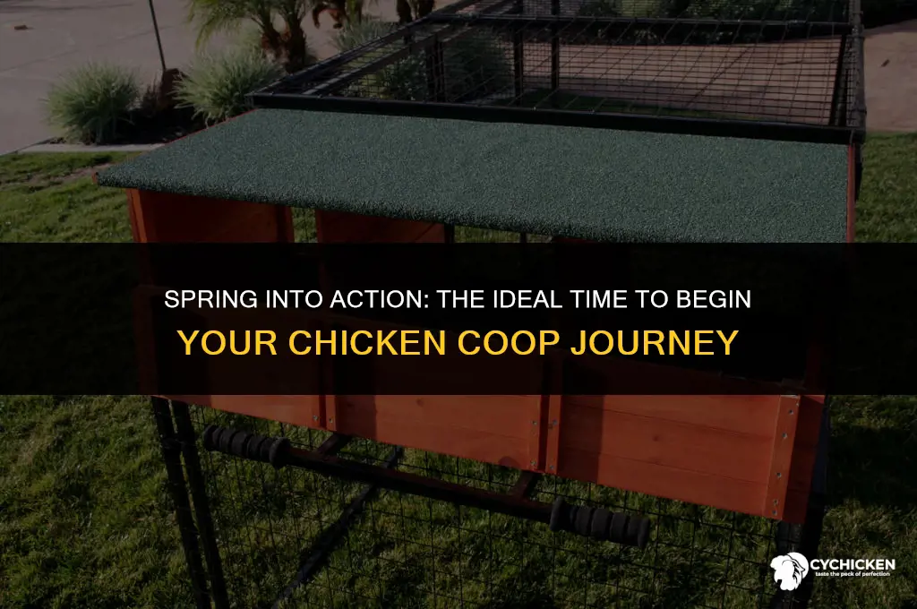 when is the best time to start a chicken coop