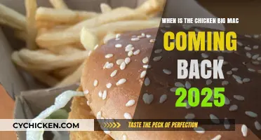 Chicken Big Mac: Return of the Fan Favorite