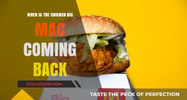 When Will McDonald's Bring Back the Chicken Big Mac?