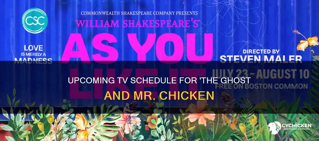 when is the ghost and mr chicken on tv