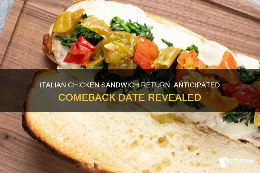 when is the italian chicken sandwich coming back