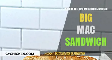 McDonald's Chicken Big Mac: Launch Date and What to Expect