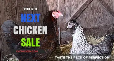 Don't Miss Out: Upcoming Chicken Sale Dates and Deals!