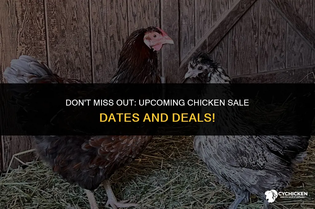 when is the next chicken sale