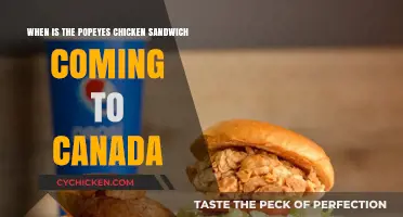 Popeyes Chicken Sandwich Canada Release Date: What We Know So Far