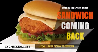 When Will the Spicy Chicken Sandwich Return to Menus?